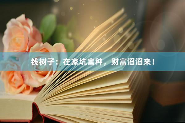 錢樹子：在家坑害種，財富滔滔來！
