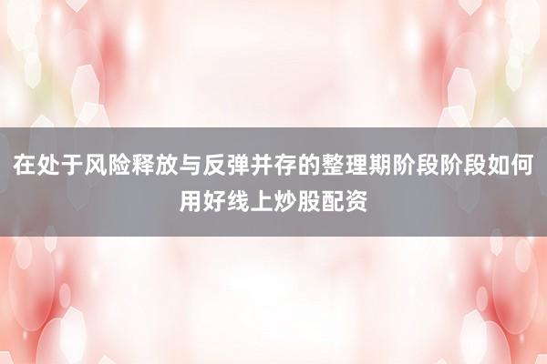 在處于風險釋放與反彈并存的整理期階段階段如何用好線上炒股配資